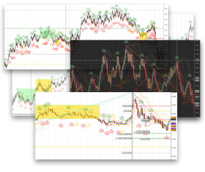 Binary Options Pro Signals review