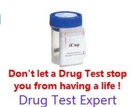 Drug Test Friend Review