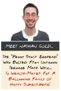 Penny Stock Egghead Review