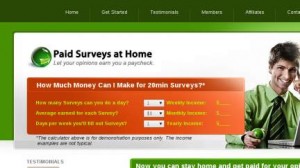 Paid Surveys At Home