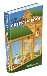 Building A Chicken Coop
