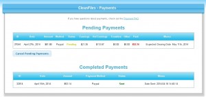 Cleanfiles Payment