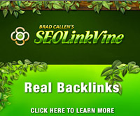 SEO Link Vine Review