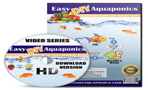 Easy DIY Aquaponics Review